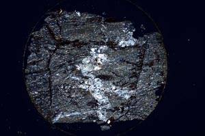 Cross Polarized, S6518