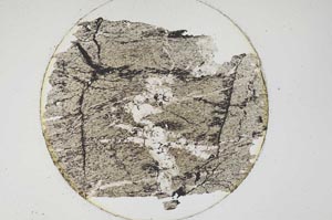 Plane Polarized, S6518