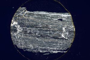 Cross Polarized, S6519