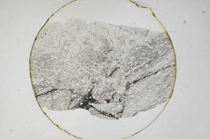Plane Polarized, S6551