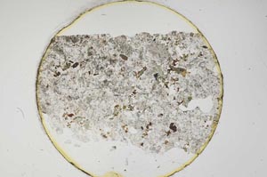 Plane Polarized, S6561