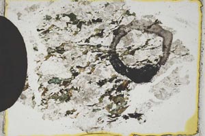 Plane Polarized, S6571