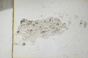 Plane Polarized, S6572