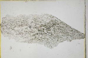 Plane Polarized, S6574
