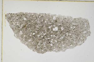 Plane Polarized, S6582