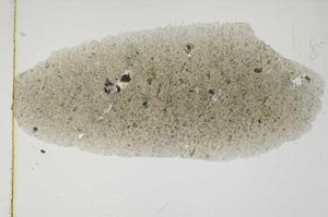 Plane Polarized, S6583