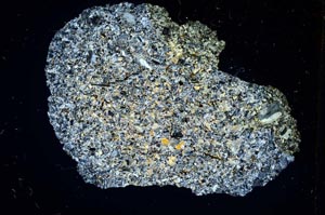 Cross Polarized, S6586