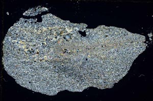 Cross Polarized, S6591