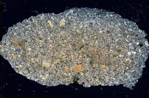 Cross Polarized, S6592