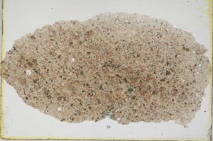 Plane Polarized, S6592