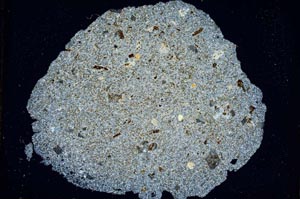 Cross Polarized, S6595