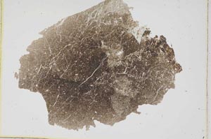 Plane Polarized, S6673