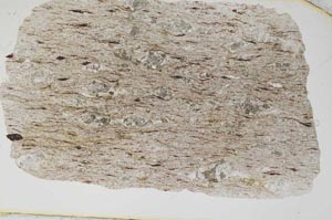 Plane Polarized, S6677