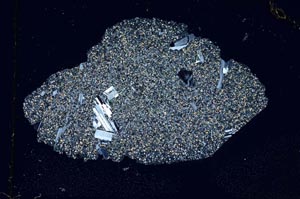 Cross Polarized, S6689