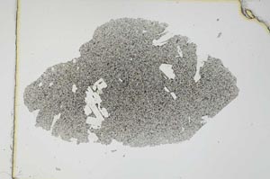 Plane Polarized, S6689