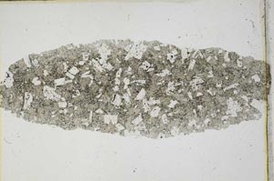 Plane Polarized, S6690