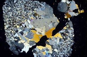 Cross Polarized, S6693