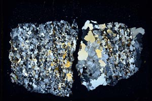 Cross Polarized, S6698