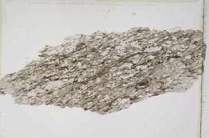 Plane Polarized, S6700