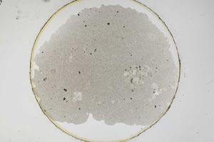 Plane Polarized, S6728