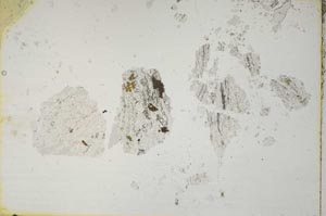 Plane Polarized, S6763