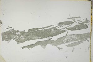 Plane Polarized, S6766