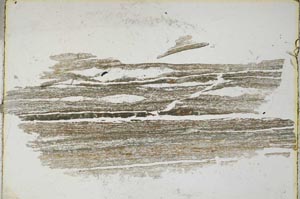 Plane Polarized, S6767