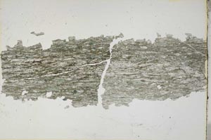 Plane Polarized, S6768