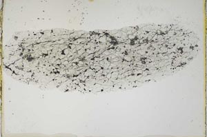 Plane Polarized, S6769