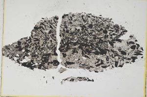 Plane Polarized, S6778