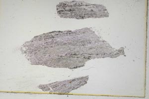 Plane Polarized, S6779