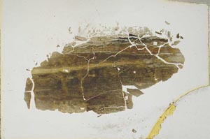Plane Polarized, S6791
