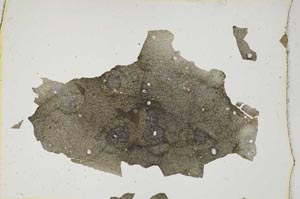 Plane Polarized, S6792