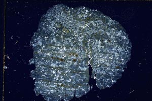 Cross Polarized, S6803