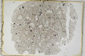 Plane Polarized, S6809