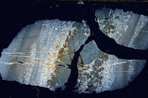 Cross Polarized, S6828