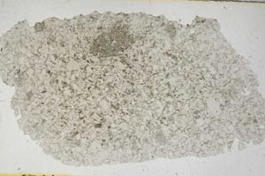 Plane Polarized, S6831