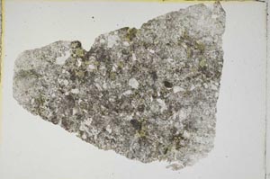 Plane Polarized, S6839