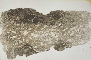 Plane Polarized, S6845