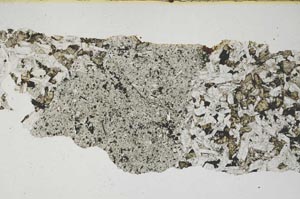 Plane Polarized, S6857