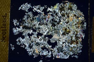 Cross Polarized, S6881