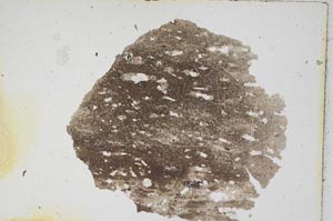 Plane Polarized, S6888