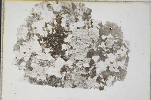 Plane Polarized, S6891
