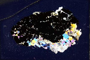 Cross Polarized, S6913