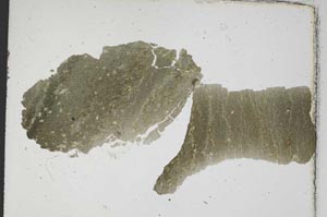 Plane Polarized, S6923