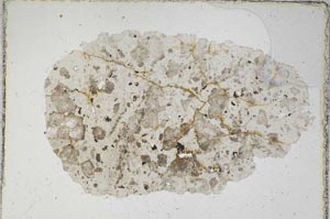 Plane Polarized, S6925