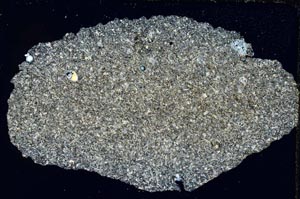 Cross Polarized, S6928