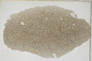 Plane Polarized, S6928