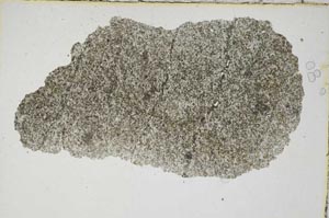 Plane Polarized, S6929