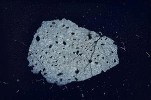 Cross Polarized, S6930